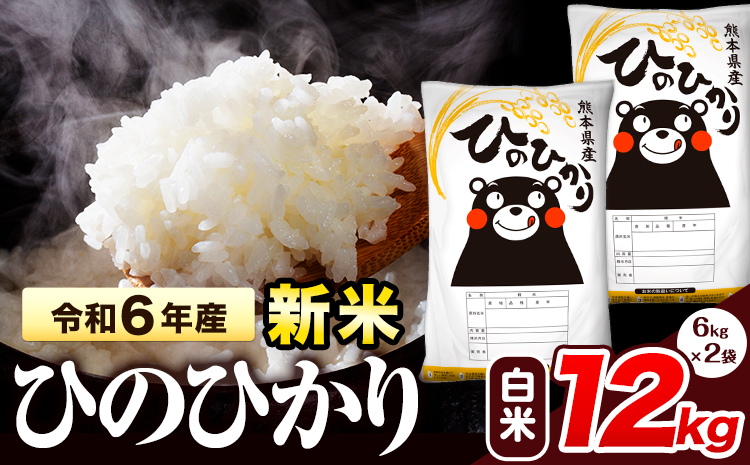 令和6年産 新米 早期先行予約受付中 ひのひかり 白米 12kg 《11月‐12月より出荷予定》 熊本県産 白米 精米 氷川町 ひの 送料無料 ヒノヒカリ コメ 便利 ブランド米 お米 おこめ 熊本 SDGs