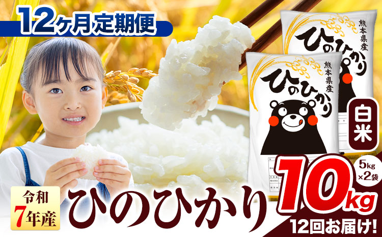 令和7年産 白米 【12ヶ月定期便】 ひのひかり 10kg《お申込み翌月から出荷》 熊本県産 白米 精米 氷川町 ひの 送料無料 ヒノヒカリ コメ 便利 ブランド米 お米 おこめ 熊本