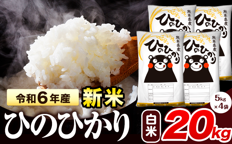 令和6年産 新米 早期先行予約受付中 ひのひかり 白米 20kg 《11月‐12月より出荷予定》 熊本県産 白米 精米 氷川町 ひの 送料無料 ヒノヒカリ コメ 便利 ブランド米 お米 おこめ 熊本 SDGs