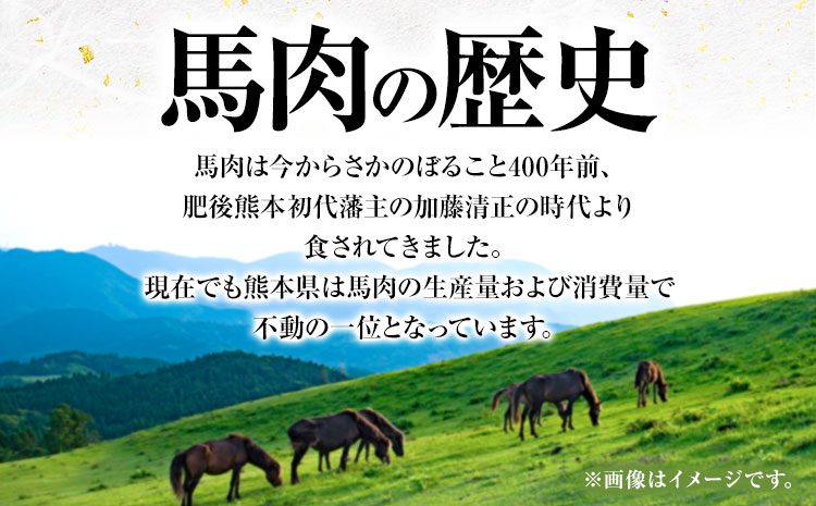 さくらトロフレーク 合計200g 100g×2個 馬刺しのタレ付き 《30日以内に出荷予定(土日祝除く)》熊本県 氷川町 肉 馬肉 株式会社有佐スーパー 送料無料
