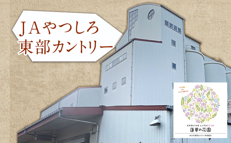 蓮華の花園(もち米) 10kg 精米 JAやつしろカントリー利用組合 熊本県 氷川町《30日以内に出荷予定(土日祝除く)》