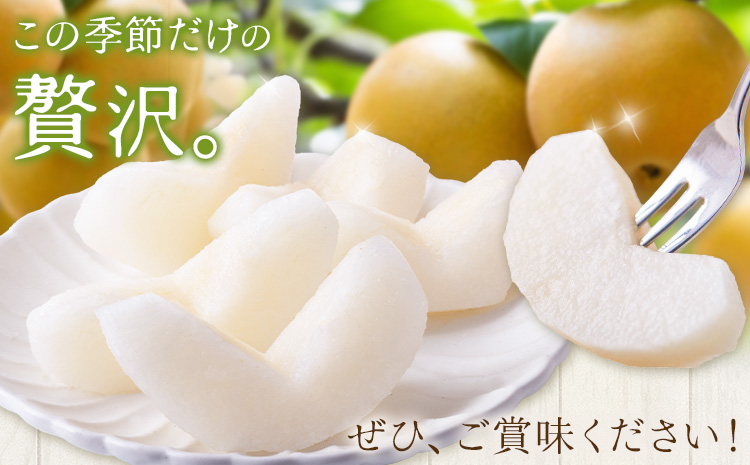 先行予約 旬の梨 梨 約2kg 株式会社エフビーネット《8月上旬-10月下旬頃出荷》熊本県 氷川町 果物 フルーツ 熊本県産 青果物 和梨 