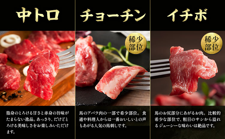 馬肉 馬刺し セット 贅沢馬刺しセット 11種入り 約850g タレ 生おろし生姜付き 道の駅竜北《60日以内に出荷予定(土日祝除く)》 熊本県 氷川町 肉 メン 三枚バラ 大トロ 中トロ ヒレ ロース ランプ チョーチン イチボ フタエゴ 上赤身 コウネ