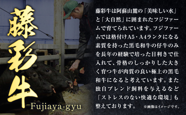 肉 藤彩牛 ロース 三昧 セット 約1200g 1.2kg 道の駅竜北《60日以内に出荷予定(土日祝除く)》 熊本県 氷川町 肉 牛肉 ロース しゃぶしゃぶ すき焼き ステーキ サーロインステーキ 焼肉 黒毛和牛