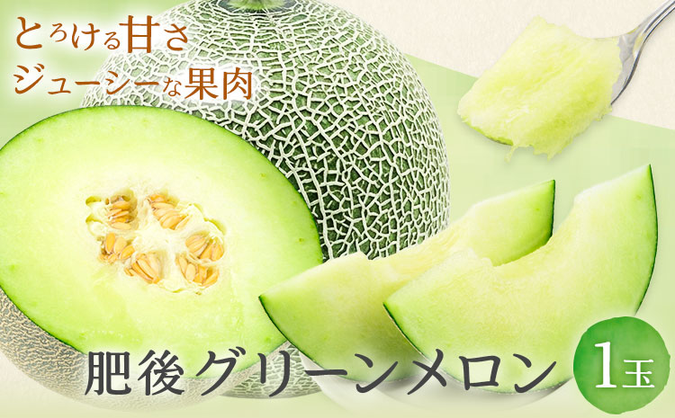 肥後グリーンメロン 1玉 熊本 株式会社エフビーネット《4月上旬-6月中旬頃出荷》熊本県 氷川町 果物 フルーツ 熊本県産 メロン 肥後グリーン めろん