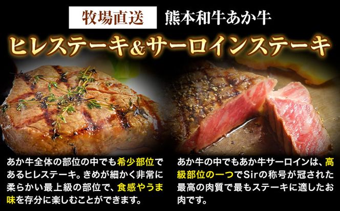 熊本和牛あか牛 極上 ヒレ ＆ サーロインステーキ セット 550g ヒレステーキ 150g×1枚 サーロインステーキ 200g×2枚 道の駅竜北《60日以内に出荷予定(土日祝除く)》 熊本県 氷川町 あか牛 牛肉