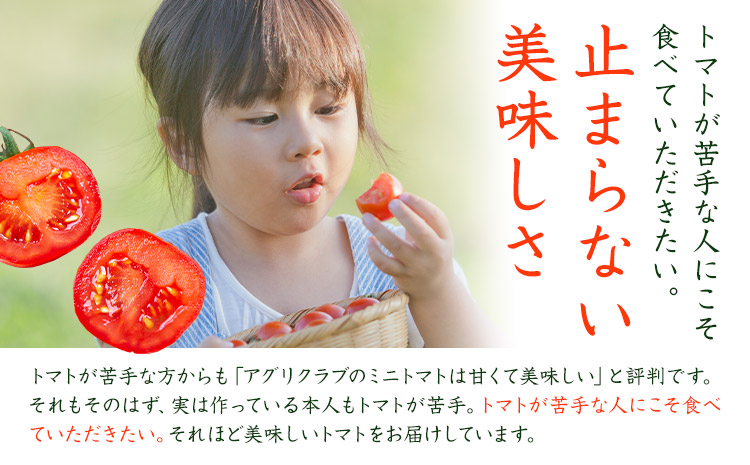 ミニトマト 約1kg 氷川アグリクラブ トマト 熊本《2月上旬-4月末頃出荷》熊本県 氷川町 野菜 熊本県産 サラダ プチトマト 国産