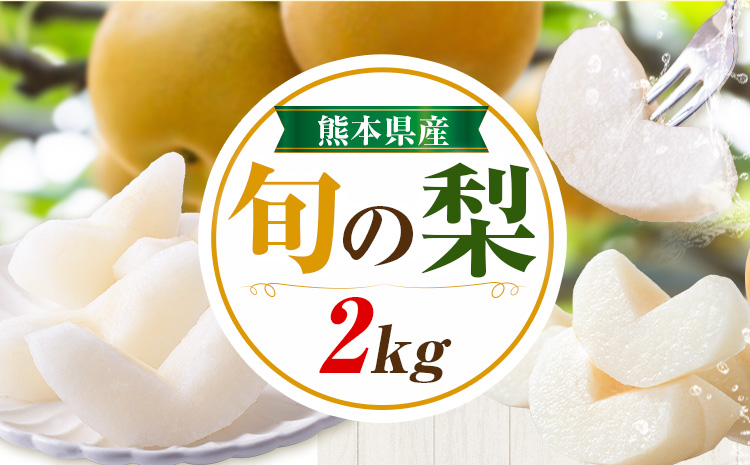 先行予約 旬の梨 梨 約2kg 株式会社エフビーネット《8月上旬-10月下旬頃出荷》熊本県 氷川町 果物 フルーツ 熊本県産 青果物 和梨