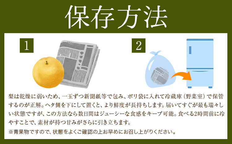 先行予約 旬の梨 梨 約4kg 株式会社エフビーネット《7月上旬-10月下旬頃出荷》熊本県 氷川町 果物 フルーツ 熊本県産 青果物 和梨 ジューシー
