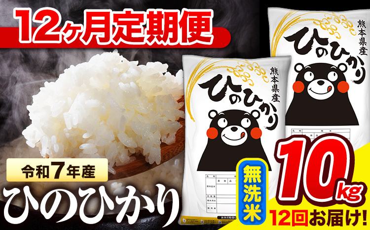 令和7年産 無洗米 【12ヶ月定期便】 ひのひかり 10kg《お申込み翌月から出荷》 熊本県産 無洗米 精米 氷川町 ひの 送料無料 ヒノヒカリ コメ 便利 ブランド米 お米 おこめ 熊本