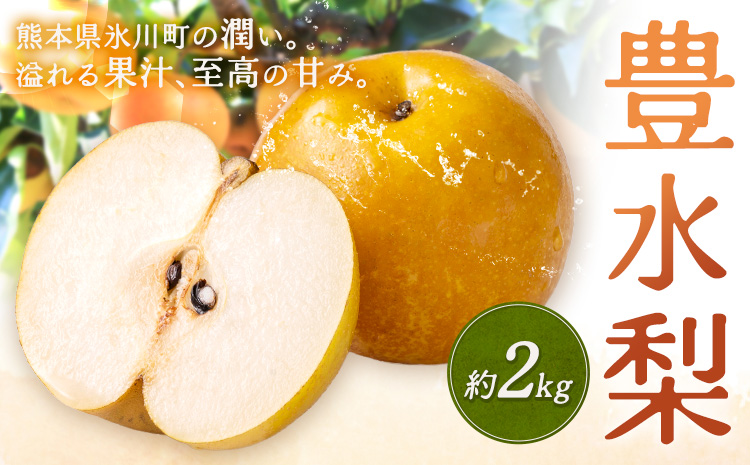 先行予約 旬 梨 フルーツ 豊水梨 約2kg 豊水 株式会社エフビーネット《8月中旬-9月上旬頃出荷》熊本県 氷川町 熊本県 氷川町産 なし ナシ 旬の梨 果物 くだもの スイーツ