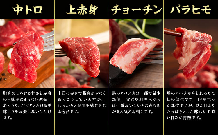 馬肉 フジチクオリジナル 希少部位 と 贅沢な ふじ馬刺し 厳選 セット 道の駅竜北《30日以内に出荷予定(土日祝除く)》 熊本県 氷川町 肉 馬肉 メン 大トロ 中トロ ヒレ シャトーブリアン ロース ランプ 上赤身 ふじ馬刺し セット 食べ比べst-p