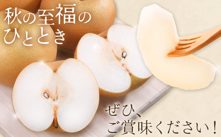 先行予約 あきづき梨 あきづき 梨 約2kg 株式会社エフビーネット《8月下旬-9月下旬頃出荷》熊本県 氷川町 果物 フルーツ 熊本県産 青果物 和梨 ジューシー