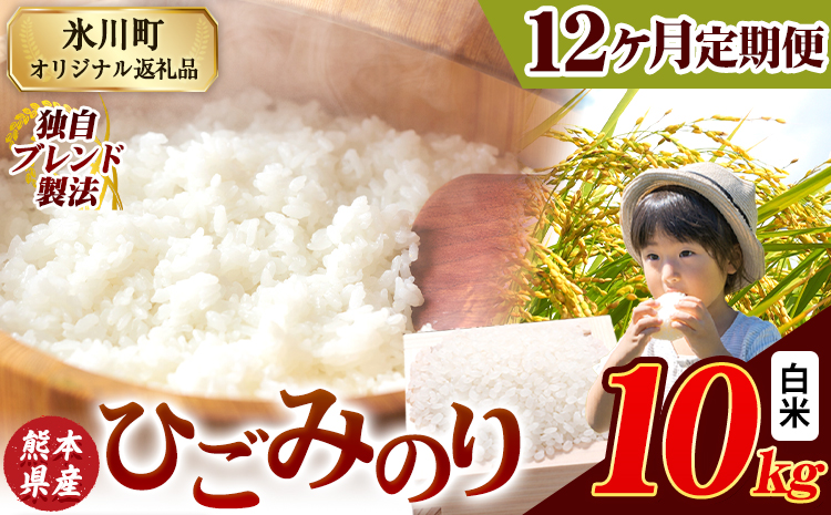 【12ヶ月定期便】ひごみのり 白米 熊本県産 ブレンド米 10kg 熊本県産 ふるさと納税  精米 米 こめ ふるさとのうぜい コメ お米 おこめ《お申込み翌月から出荷》