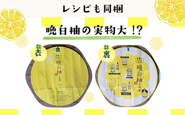 「はやし屋」の晩白柚のお酒 2本セット 《30日以内に出荷予定(土日祝除く)》 熊本県氷川町産