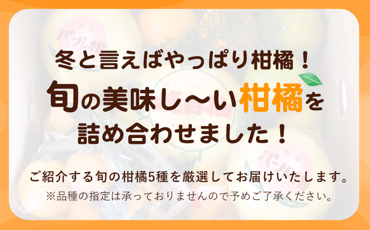 柑橘詰め合わせセット(5種類・10kg以上) 山本果樹園《12月上旬-1月上旬頃出荷予定》果物 フルーツ みかん