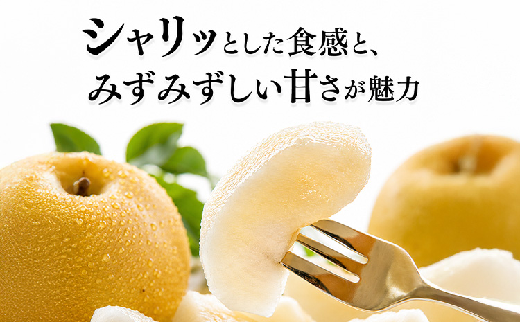 先行予約 旬の梨 梨 約4kg 株式会社エフビーネット《7月上旬-10月下旬頃出荷》熊本県 氷川町 果物 フルーツ 熊本県産 青果物 和梨 ジューシー