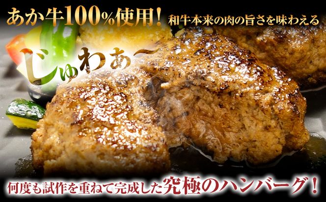 あか牛 100％ハンバーグ 120g×6個 あか牛のたれ付き 熊本県産 あか牛 あかうし 道の駅竜北《60日以内に出荷予定(土日祝除く)》 熊本県 氷川町 タレ付き ハンバーグ 熊本和牛 送料無料