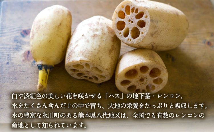 繝ャ繝ウ繧ウ繝ウ 邏3kg 辭頑悽逵梧ーキ蟾晉伴逕」 縲11譛井ク区流-3譛域忰鬆蜃コ闕キ縲矩%縺ョ鬧遶懷圏