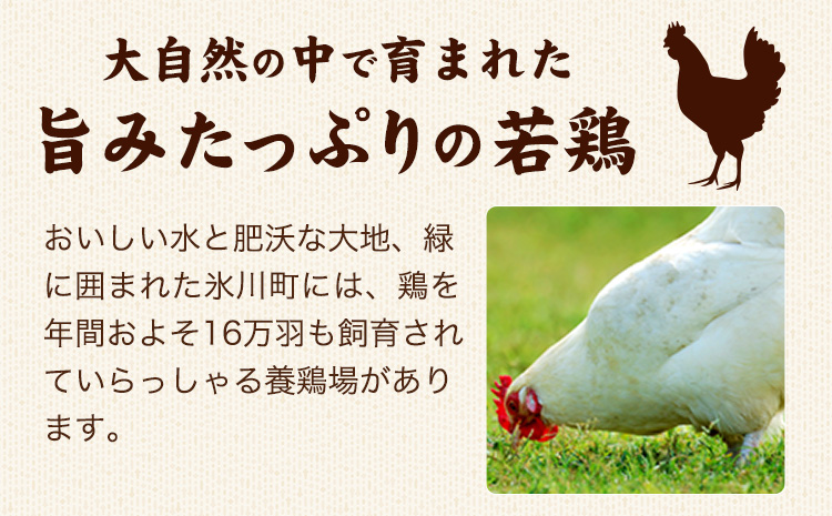 熊本県産 若鶏むね肉 約2kg×2袋 《30日以内に出荷予定(土日祝除く)》たっぷり大満足！計4kg！