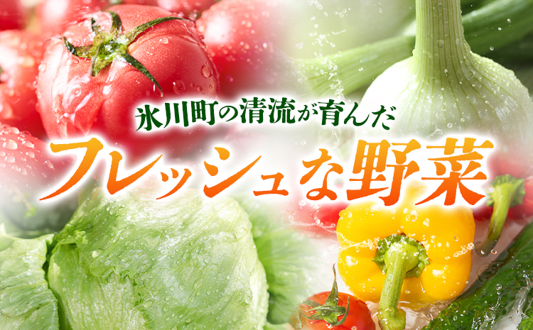譌ャ縺ョ驥手除繝サ譫懃黄隧ー繧∝粋繧上○繧サ繝繝 8-12蜩 豌キ蟾晉伴逕」 驕薙ョ鬧遶懷圏縲30譌・莉・蜀縺ォ蜃コ闕キ莠亥ョ(蝨滓律逾晞勁縺)縲狗頑悽逵 豌キ蟾晉伴 譌ャ 繝輔Ν繝シ繝 譫懃黄 縺上□繧ゅョ 驥手除 繧縺輔> 譁ー魄ョ