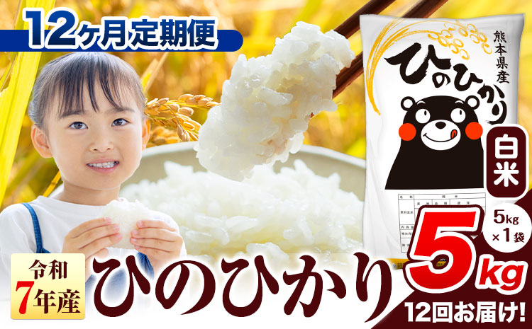 令和7年産 白米 【12ヶ月定期便】 ひのひかり 5kg《お申込み翌月から出荷》 熊本県産 白米 精米 氷川町 ひの 送料無料 ヒノヒカリ コメ 便利 ブランド米 お米 おこめ 熊本