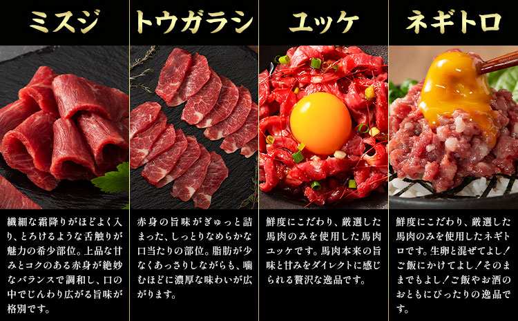 馬肉 フジチクオリジナル 希少部位 と 贅沢な ふじ馬刺し 厳選 セット 道の駅竜北《30日以内に出荷予定(土日祝除く)》 熊本県 氷川町 肉 馬肉 メン 大トロ 中トロ ヒレ シャトーブリアン ロース ランプ 上赤身 ふじ馬刺し セット 食べ比べst-p