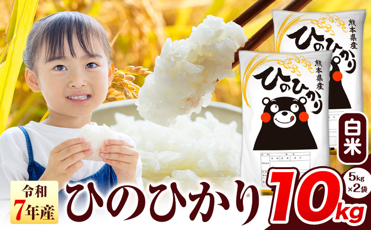 令和7年産  ひのひかり 白米 10kg 《7-14日以内に出荷予定(土日祝除く)》 熊本県産 白米 精米 氷川町 ひの 送料無料 ヒノヒカリ コメ 便利 ブランド米 お米 おこめ 熊本 SDGs