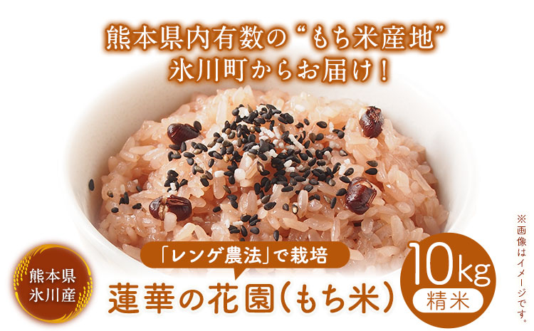 蓮華の花園(もち米) 10kg 精米 JAやつしろカントリー利用組合 熊本県 氷川町《30日以内に出荷予定(土日祝除く)》