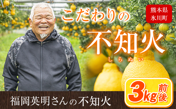 福岡農園 不知火 3kg《1-5日以内に出荷予定(土日祝除く)》熊本県 氷川町 柑橘 果物 フルーツ