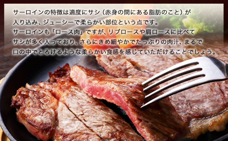 あか牛（褐毛和牛） サーロイン ステーキ 500g 牛肉 冷凍《2026年1月中旬-3月末頃出荷》