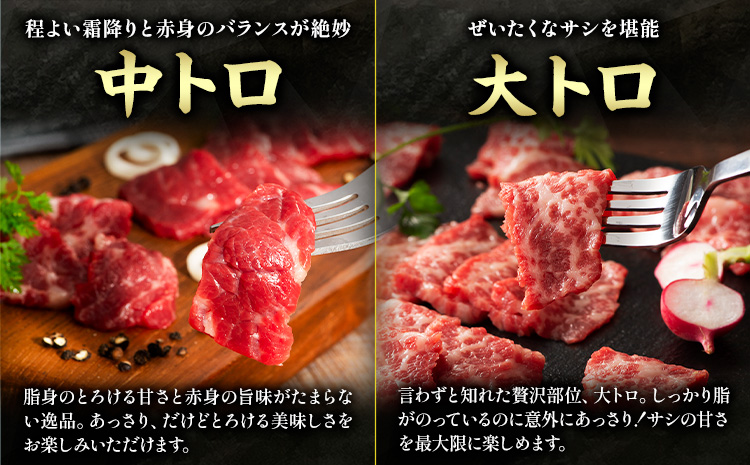 馬肉 馬刺し 霜降り馬刺し詰合せ 約370g タレ ユッケのタレ 生おろし生姜付き 道の駅竜北《60日以内に出荷予定(土日祝除く)》 熊本県 氷川町 送料無料 肉 赤身肉 メン 大トロ 中トロ チョーチン ユッケ お取り寄せグルメ