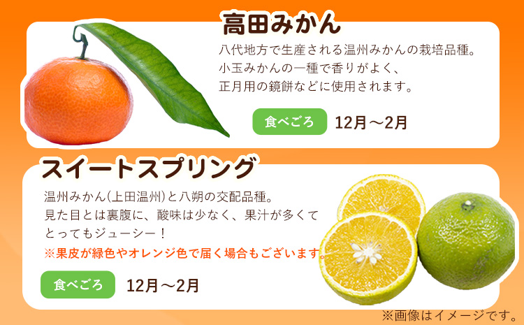 柑橘詰め合わせセット(5種類・10kg以上) 山本果樹園《12月上旬-1月上旬頃出荷予定》果物 フルーツ みかん