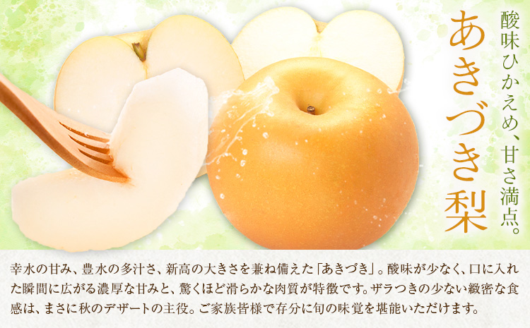先行予約 あきづき梨 あきづき 梨 約2kg 株式会社エフビーネット《8月下旬-9月下旬頃出荷》熊本県 氷川町 果物 フルーツ 熊本県産 青果物 和梨 ジューシー