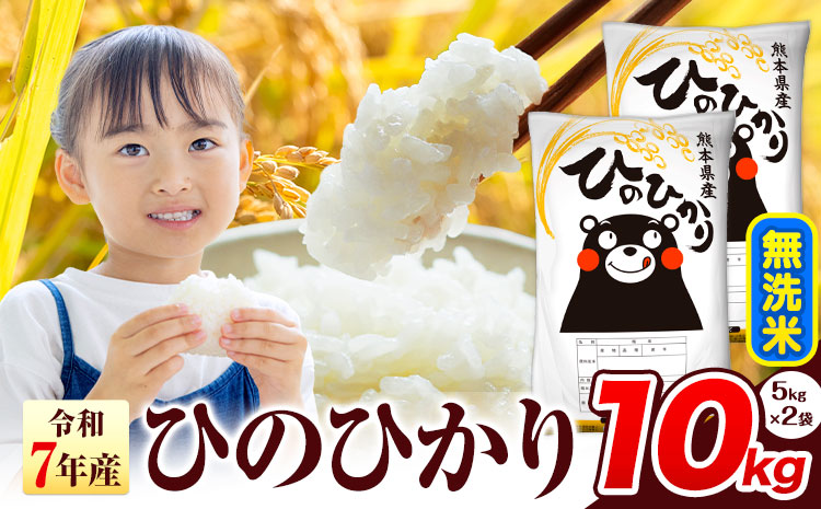 令和7年産  ひのひかり 無洗米 10kg 《7-14日以内に出荷予定(土日祝除く)》 熊本県産 無洗米 精米 氷川町 ひの 送料無料 ヒノヒカリ コメ 便利 ブランド米 お米 おこめ 熊本 SDGs