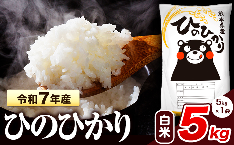 令和7年産  ひのひかり 白米 5kg 《7-14日以内に出荷予定(土日祝除く)予定》 熊本県産 白米 精米 氷川町 ひの 送料無料 ヒノヒカリ コメ 便利 ブランド米 お米 おこめ 熊本 SDGs