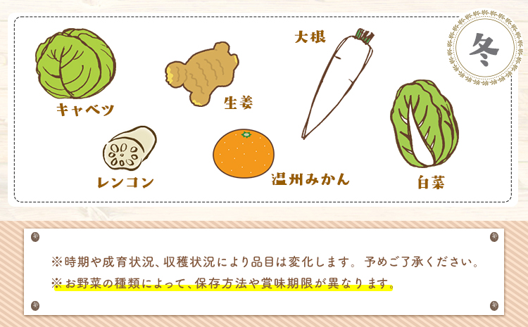 3ヶ月定期便 旬の新鮮野菜・果物詰合せセット (計3回お届け)たっぷり8-12品目 《お申込み月の翌月から出荷開始》熊本県氷川町産 道の駅竜北