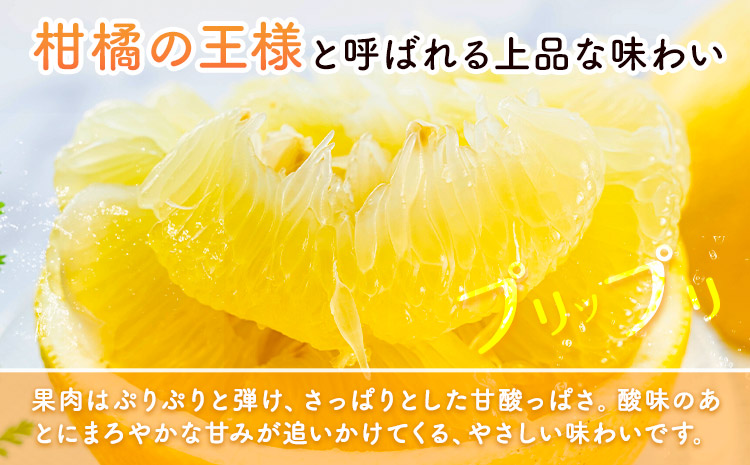 晩白柚 2玉 2Lサイズ ばんぺいゆ 熊本《12月上旬-1月末頃出荷》熊本県 氷川町 果物 フルーツ 熊本県産 晩白柚 ばんぺいゆ