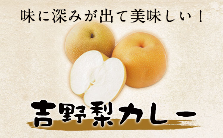 吉野梨カレー 180g×6食入 《60日以内に出荷予定(土日祝除く)》熊本県氷川町産 道の駅竜北