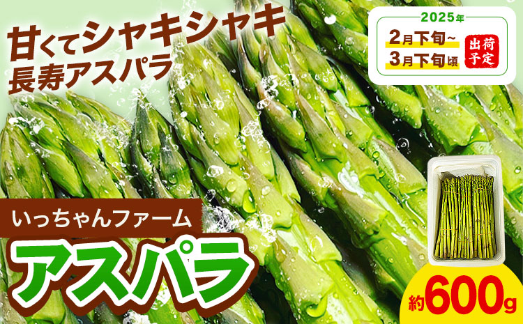 アスパラガス 約600g いっちゃんファーム《2025年2月下旬-3月下旬頃出荷予定》熊本県 氷川町 氷川産 野菜 アスパラガス アスパラ