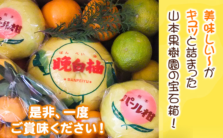 柑橘詰め合わせセット(5種類・10kg以上) 山本果樹園《12月上旬-1月上旬頃出荷予定》果物 フルーツ みかん