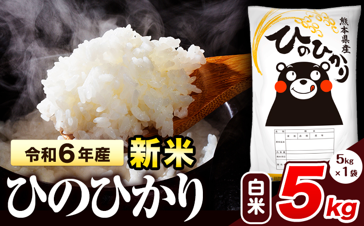 令和6年産 新米 早期先行予約受付中 ひのひかり 白米 5kg 《11月‐12月より出荷予定》 熊本県産 白米 精米 氷川町 ひの 送料無料 ヒノヒカリ コメ 便利 ブランド米 お米 おこめ 熊本 SDGs