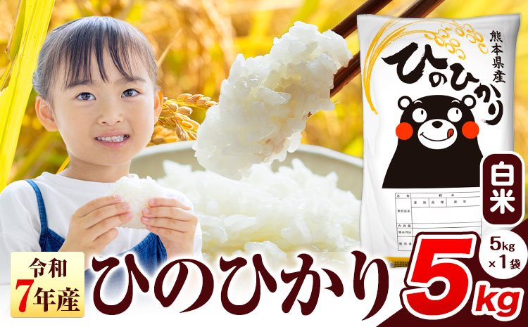 令和7年産  ひのひかり 白米 5kg 《7-14日以内に出荷予定(土日祝除く)予定》 熊本県産 白米 精米 氷川町 ひの 送料無料 ヒノヒカリ コメ 便利 ブランド米 お米 おこめ 熊本 SDGs