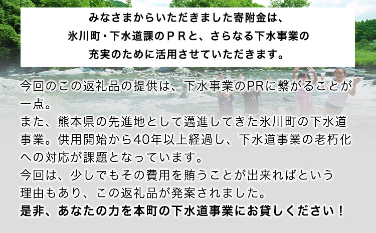 1/6スケール「マンホールレプリカ」コースターサイズ 氷川町役場建設下水道課《90日以内に出荷予定(土日祝除く)》