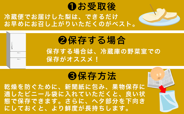 熊本県氷川町産 吉野梨 品種おまかせ 約5kg(10〜12玉前後) 《8月中旬-9月末頃出荷》 