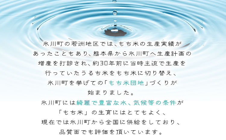 餅米味噌・合わせ味噌セット 700g×4個 《60日以内に出荷予定(土日祝除く)》熊本県氷川町産 道の駅竜北