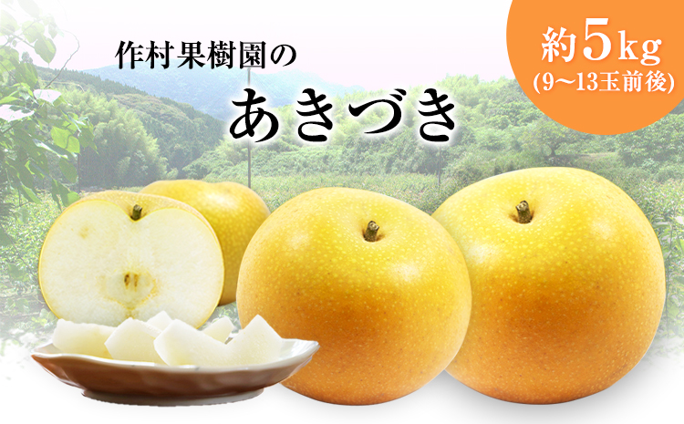 【先行予約】作村果樹園のあきづき梨 約5kg(9〜13玉前後) 熊本県氷川町産 作村果樹園《8月下旬-9月末頃出荷》梨 なし