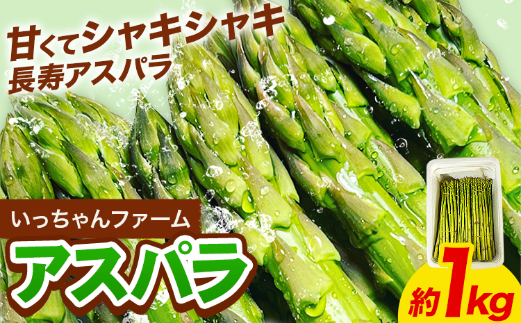 アスパラガス 約1kg いっちゃんファーム《3月上旬-9月下旬頃出荷》熊本県 氷川町 氷川産 野菜 アスパラガス アスパラ