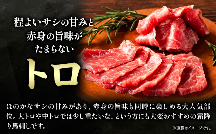 馬肉 ふじ 馬刺し 霜降り馬刺し 3種 約 240g 道の駅竜北《60日以内に出荷予定(土日祝除く)》 熊本県 氷川町 肉 馬肉 トロ 中トロ 大トロ ふじ馬刺し セット 食べ比べ