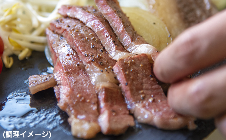 あか牛（褐色和種）ロースステーキ (リブまたはサーロイン) 250g×2 500g 熊本県産 肉 和牛 牛肉 赤牛 あかうし リブロース サーロイン 冷凍 《2026年1月中旬-3月末頃出荷》送料無料